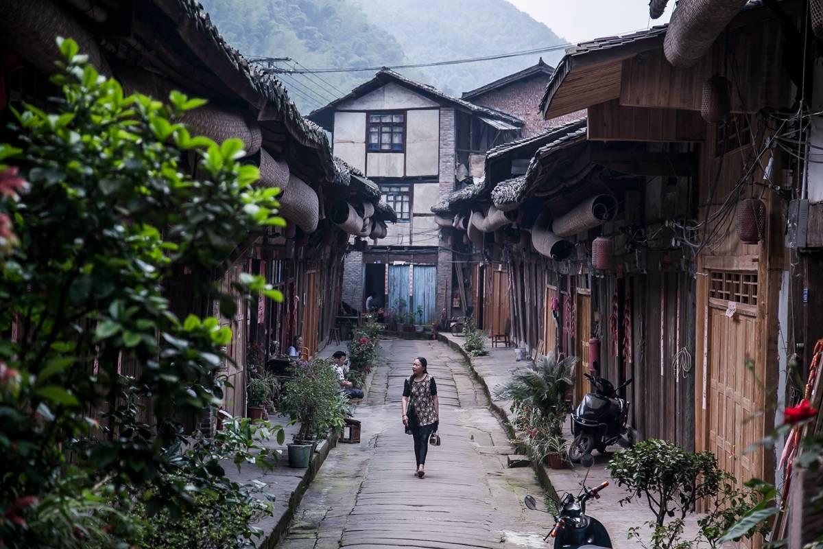 相互吞噬选关版